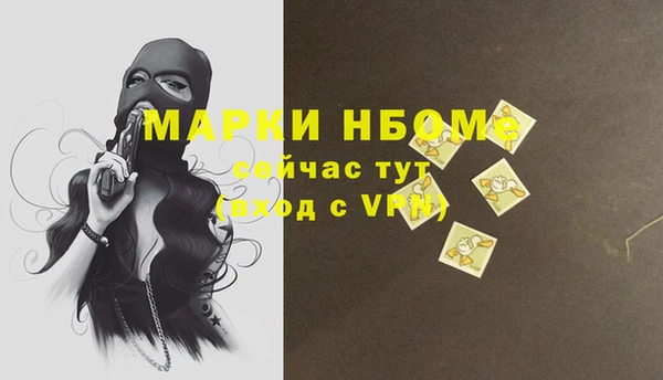 стаф Алзамай
