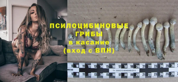 твердый Алексеевка