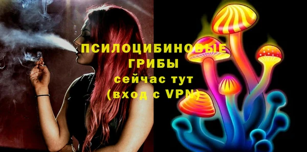 стаф Алзамай