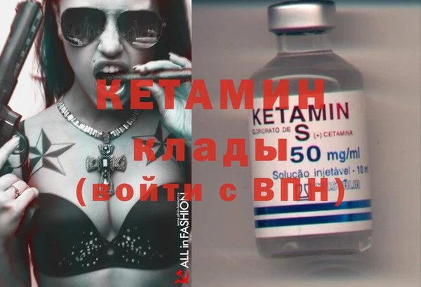 стаф Алзамай