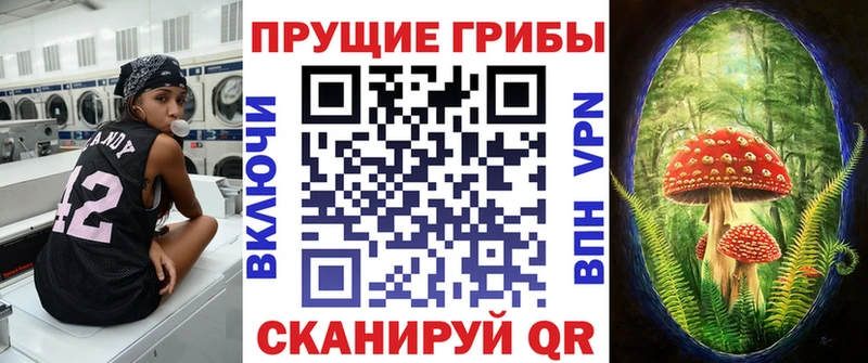 Галлюциногенные грибы Psilocybe  darknet как зайти  Урюпинск 