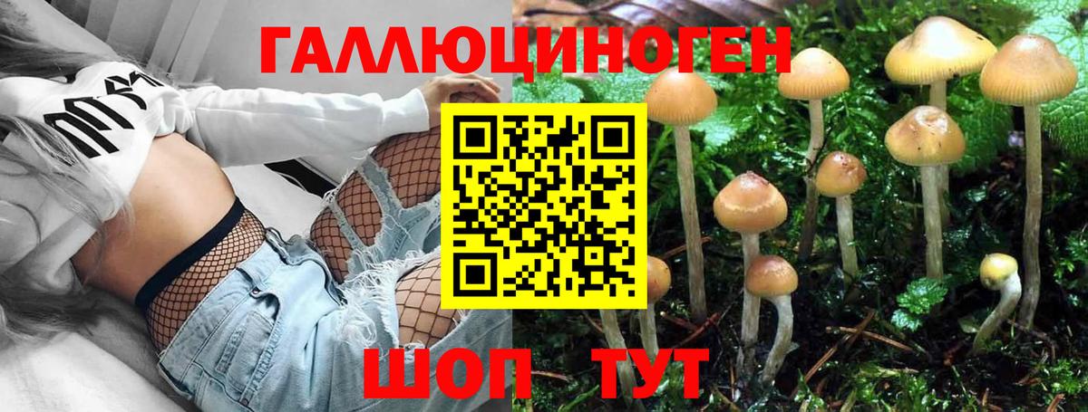 Псилоцибиновые грибы прущие грибы  Вход с VPN  Урюпинск  Псилоцибиновые грибы Psilocybe 